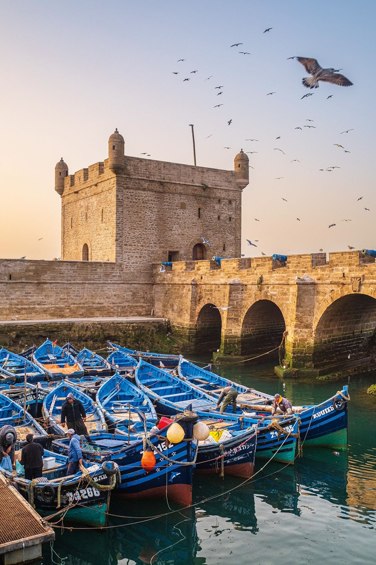 Essaouira Coastal Escape