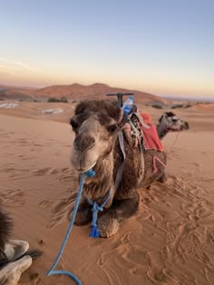 grand-morocco-discovery
