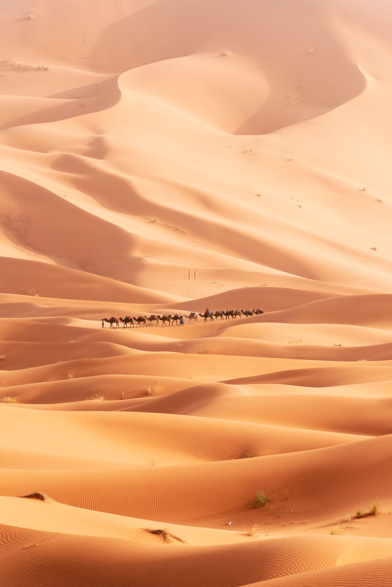 Sahara Desert Journeys